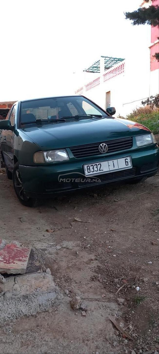 golf polo 
