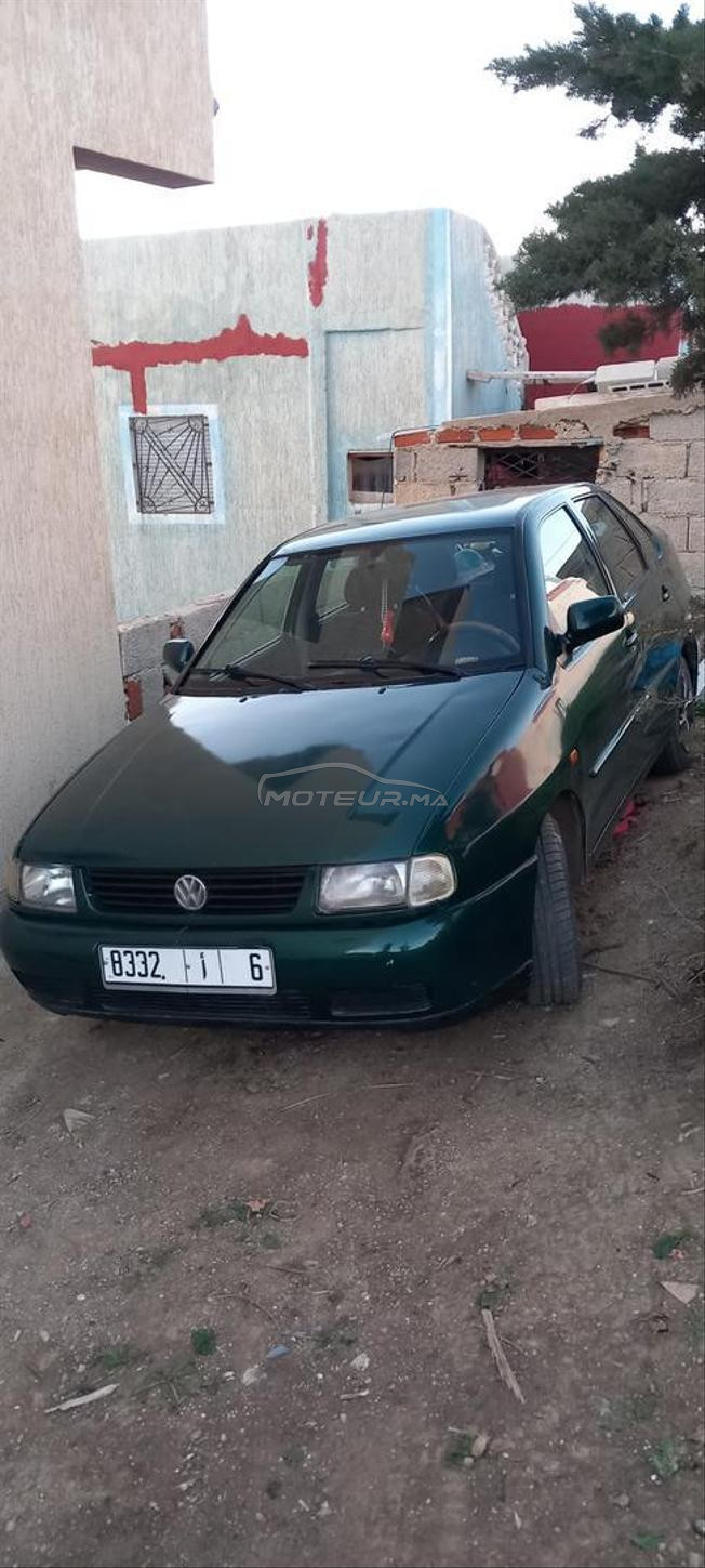golf polo 