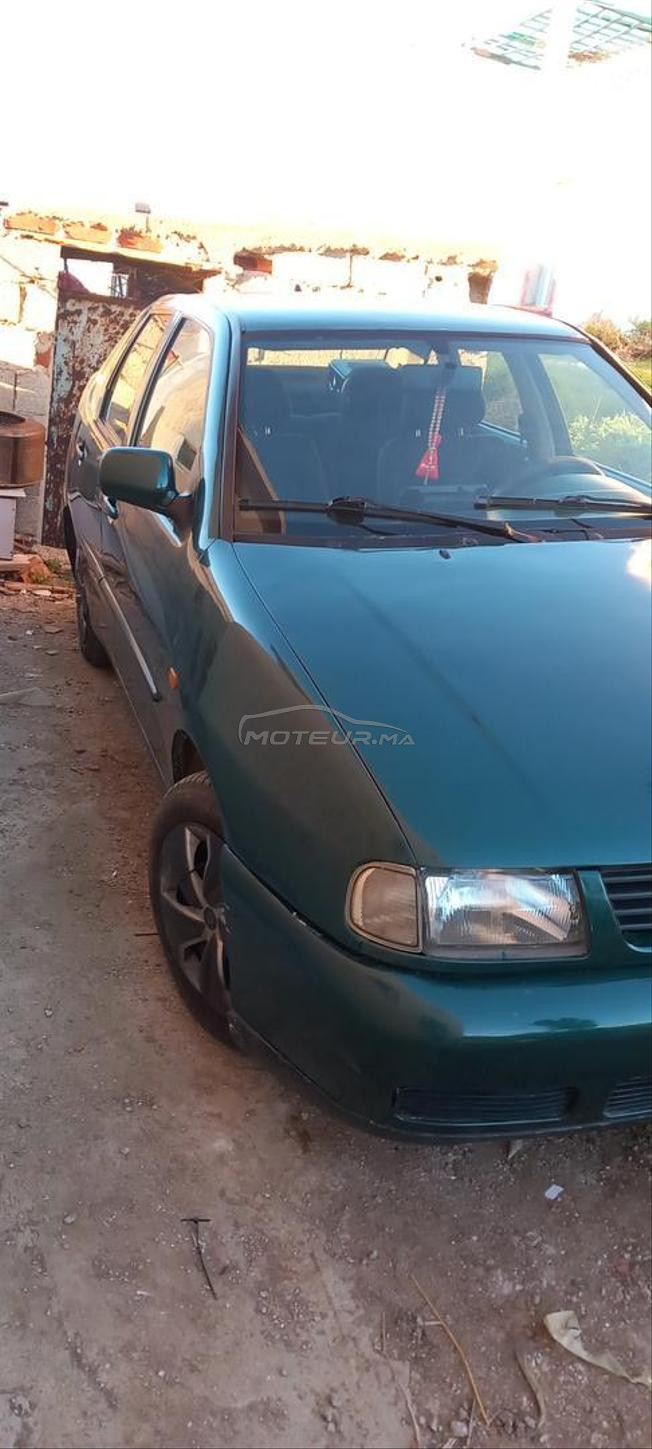 golf polo 
