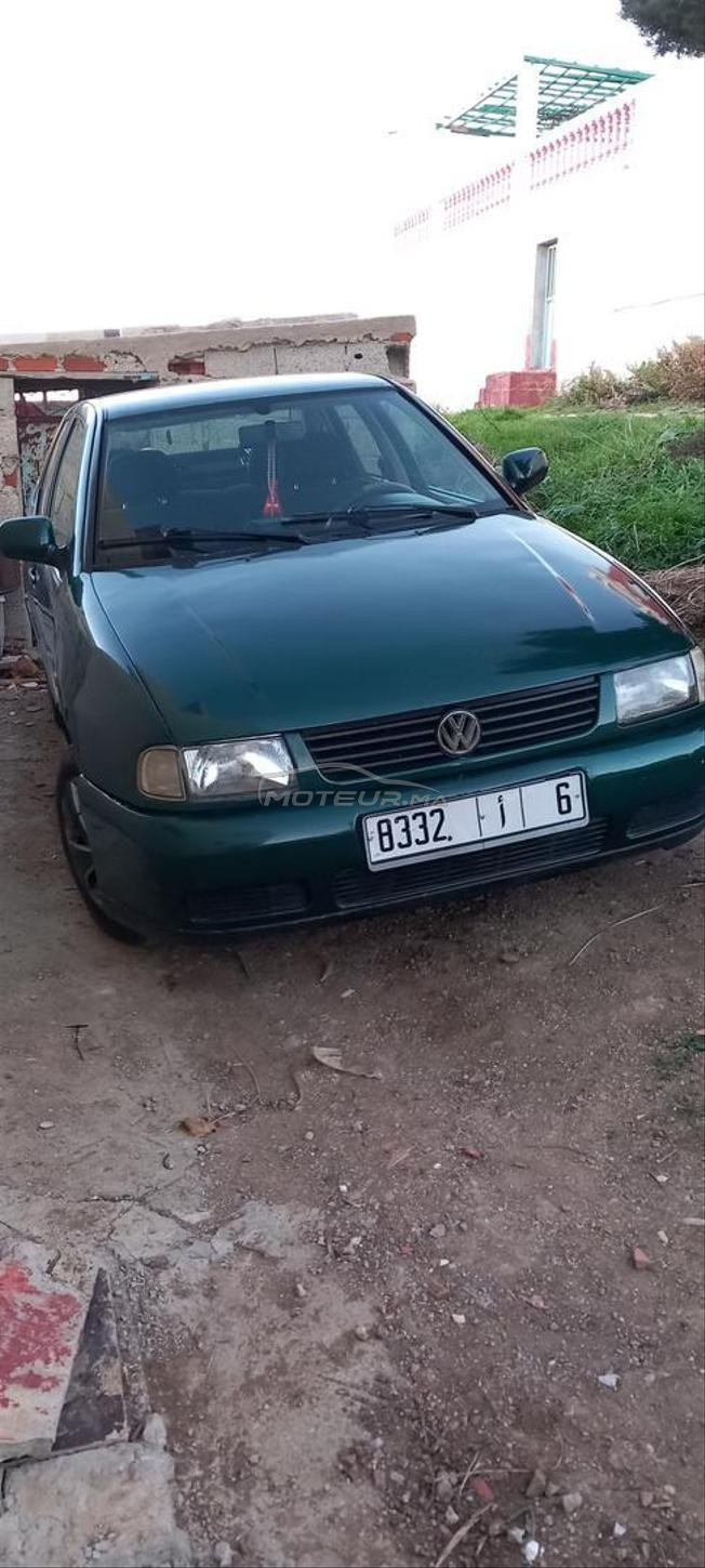 golf polo 
