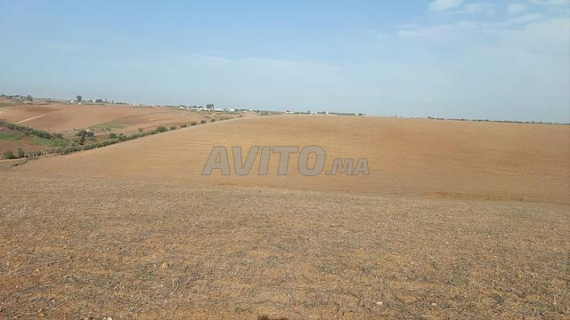 Ter titre 7ha kamouni ait malek