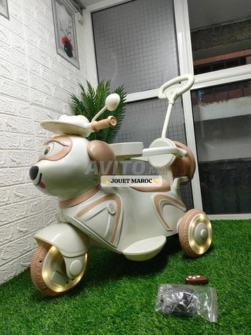 Moto électrique 12v 