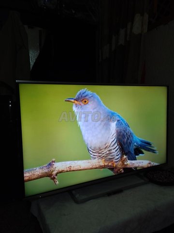 tv Panasonic 48pouce smart