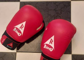 Gants et protections de boxe à vendre 
