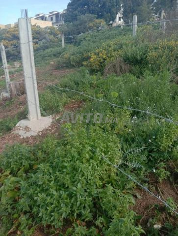  (واجهتين)بقعة أرضية 58 م² عدلية، 2 فرشادات