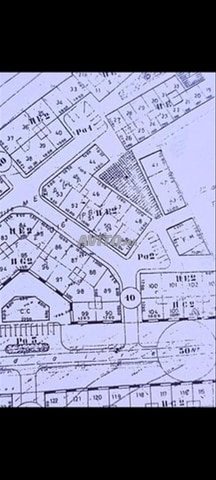 تجزئة الصنوبر دائرة المركز الرماني 