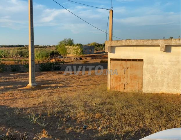 ارض 1000متر محفضة ومكزة كبيرة على طريق