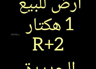 Terrain 1 hiktar zone R plus 2 à vendre 