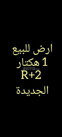 Terrain 1 hiktar zone R plus 2 à vendre 