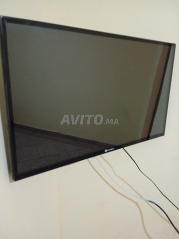 télévision goldvision mazala jadida