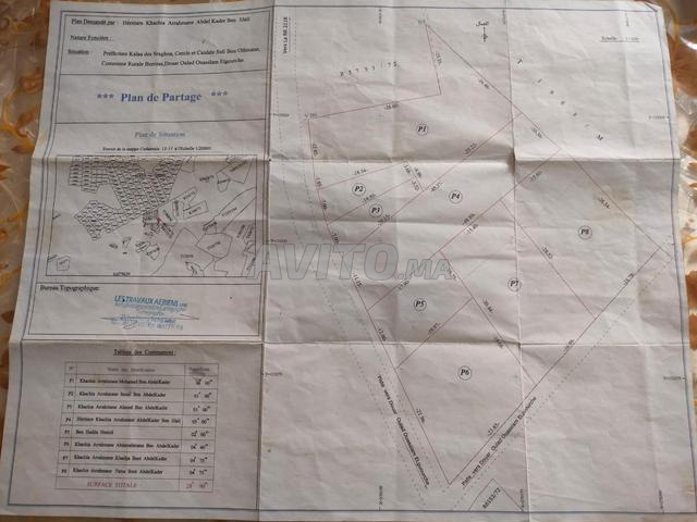 terrain a vendre 600m أرض للبيع ضواحي مراكش