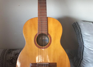 classic guitar Diogiorgio amazonia N°30 197