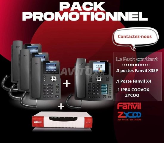 PACK STANDARD TELEPHONIQUE IP ZYCOO T100