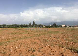 Terrain constructible à vendre - 1001 m²