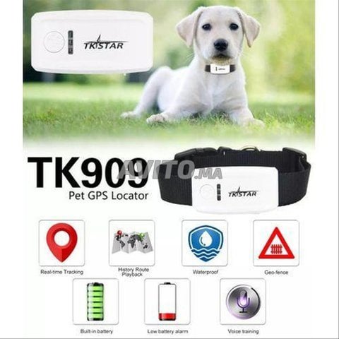 Traceur collier GPS chien - et chat