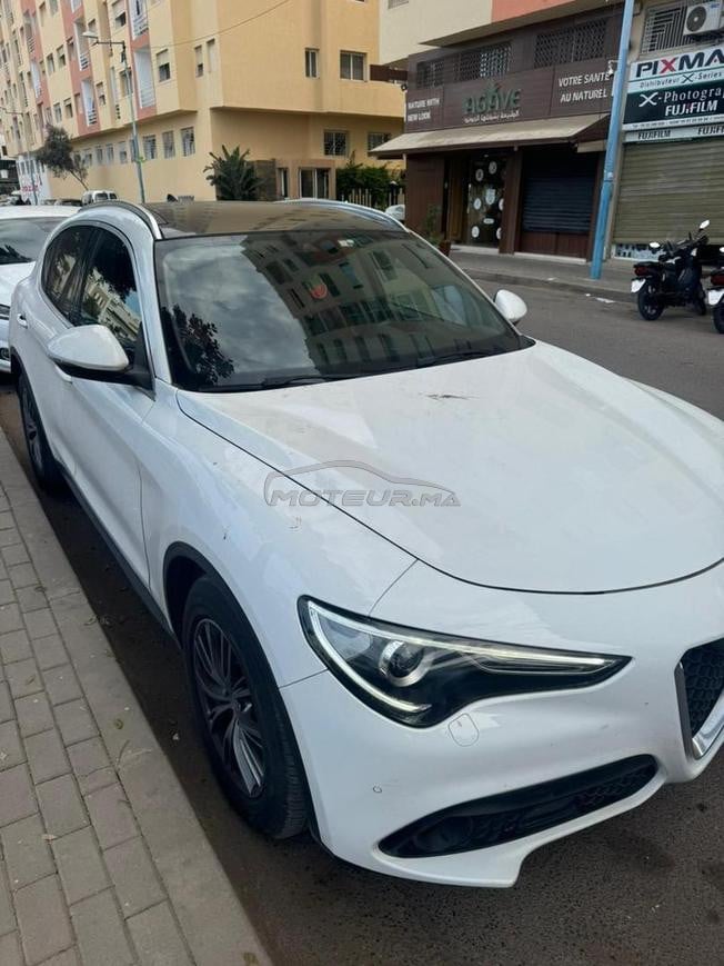 stelvio 2019