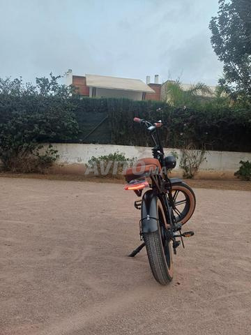 vélo électrique fatbike v20 - 2