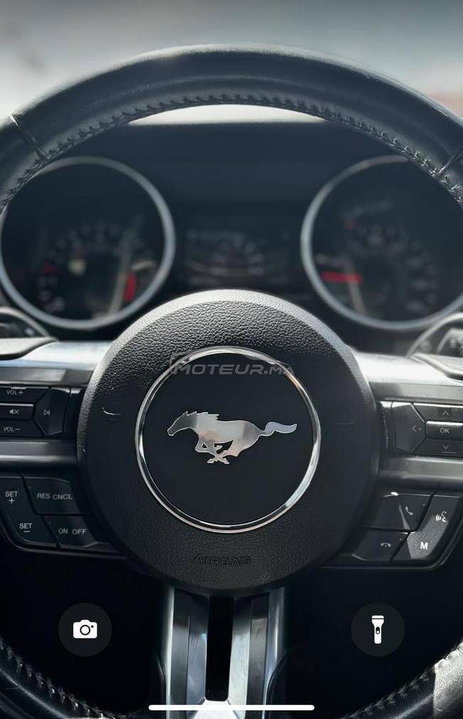 mustang