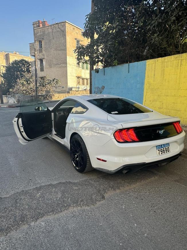 mustang