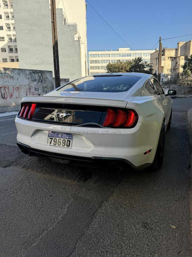 mustang