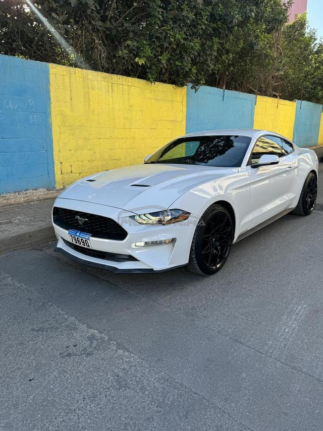 mustang