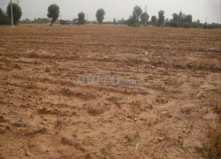 Terrain à route Ouarzazate
