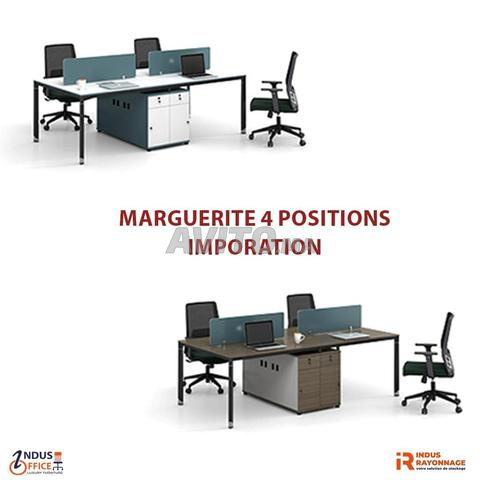 Marguerites polyvalentes et confortables - 2