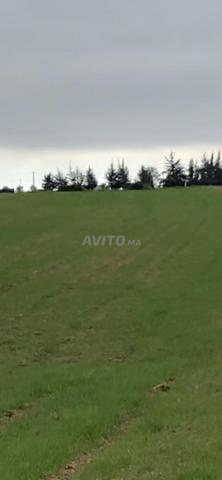 ارض 18000متر و بئر همزة لا تعوض 