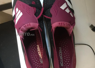 Crampons adidad predator 2024 neuf