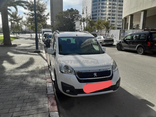 بيجو تيبي
