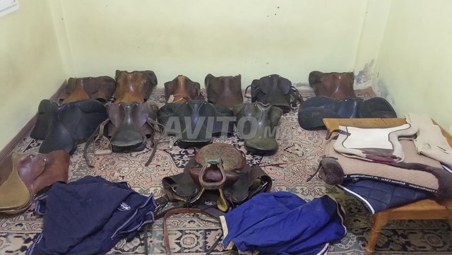 Matériel de équitation 