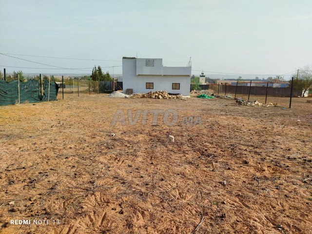 سيدي شافي قرب مدرسة اولاد جابر