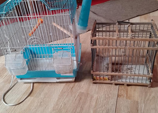 2 cages oiseaux 