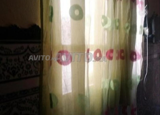 طلامط،ريدو ،ناب