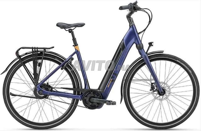 Electric bike koga