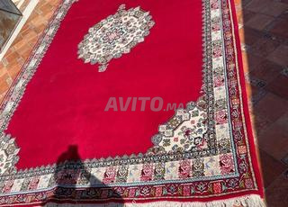 zarbiya rbatiya extra 