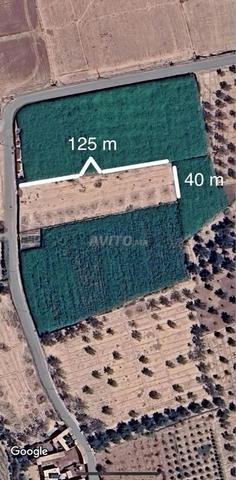 Terrain à vendre | أرض للبيع