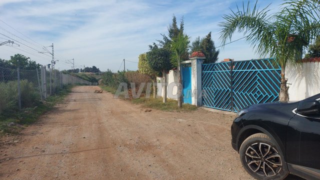 ferme agricole Azemmour