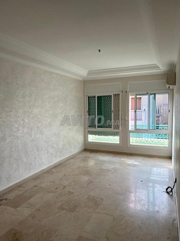 Appartement à louer 74 m² Janvier 2025