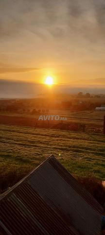 منازل بلدية للبيع وعليها قطعة أرضية مناضير طبيعة