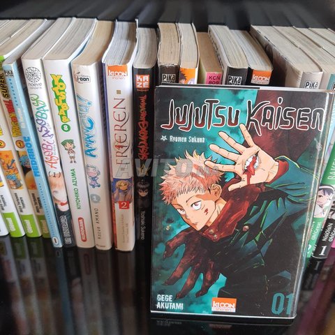 Manga disponible chez Geek horizon meknes 