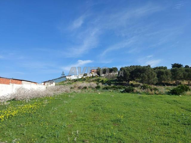 Terrain titré 1.5 hectares bel Vue à Cap Spartel