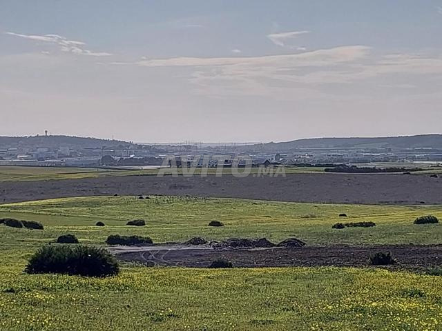 Terrain titré 1.5 hectares bel Vue à Cap Spartel