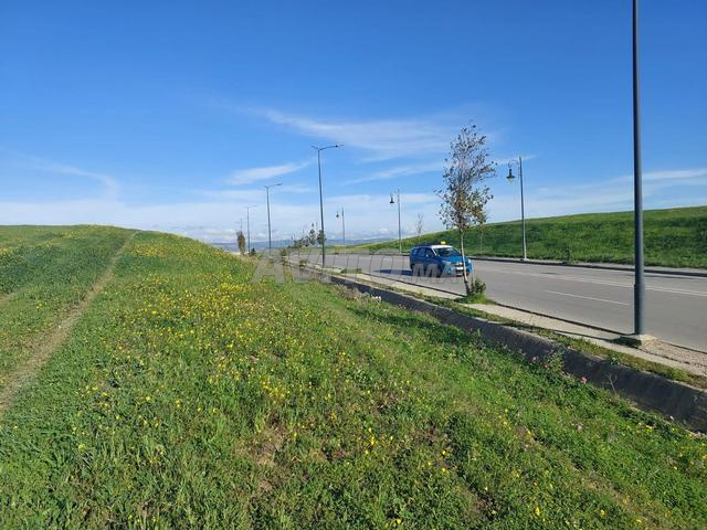 أرض جميلة محفظة 1.5 هكتار بالقرب من محطة الحافلات