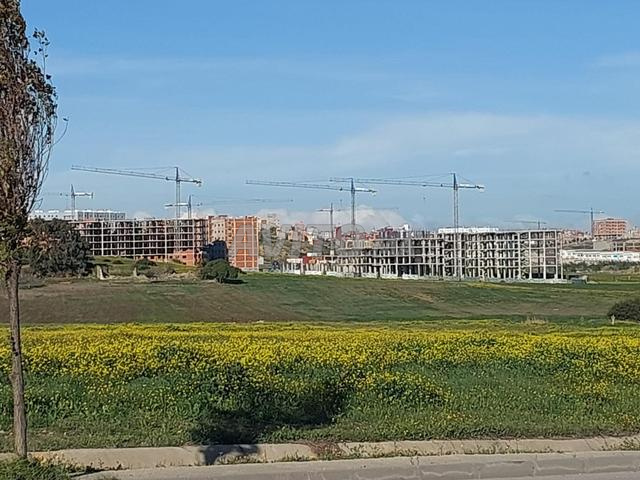 أرض جميلة محفظة 1.5 هكتار بالقرب من محطة الحافلات
