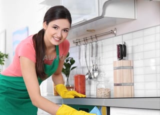 Agence Femme de ménage cuisinière nounou