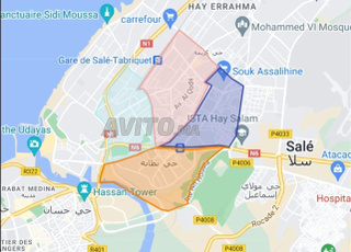 Vente Société SARL Franchisée Algorithmics à Salé