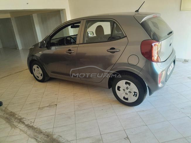 picanto 2022