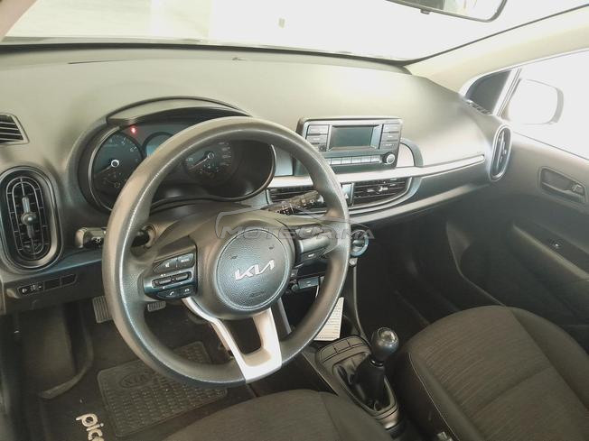picanto 2022