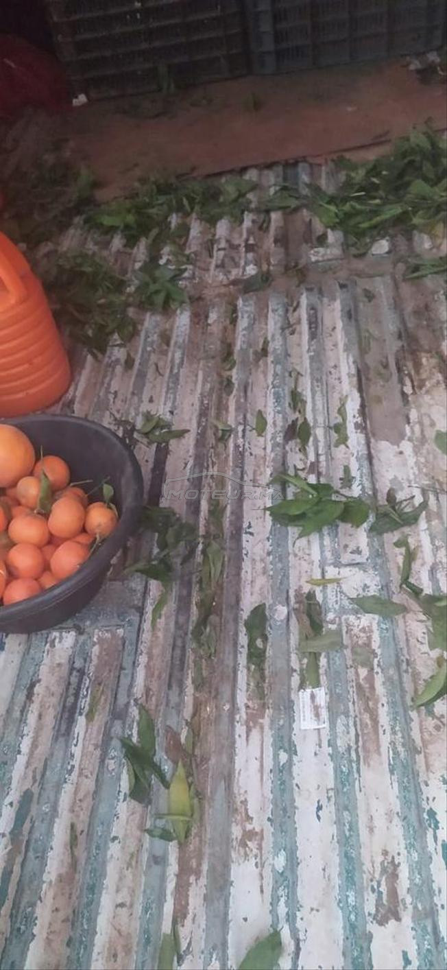 سيارة تجارية و فلاحية
